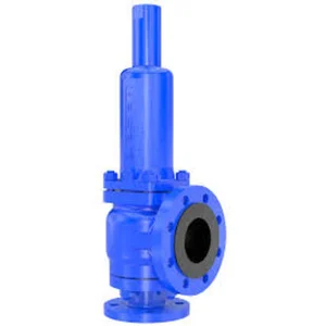 LESER Critical Service Safety Valve