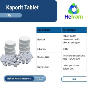 Kaporit Tablet 1Kg untuk air