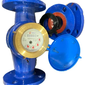 Water meter amico 2 inch
