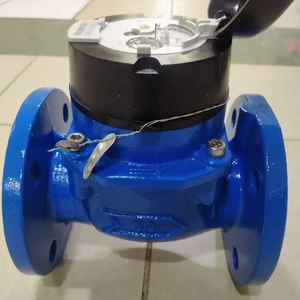 Water meter Itron 2 inch