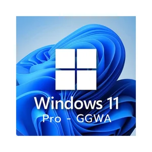 Windows GGWA - Windows 11 Pro - Legalization Get Genuine