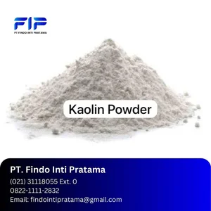 Kaolin Powder Ex. Belitung - (PT. FINDO INTI PRATAMA)