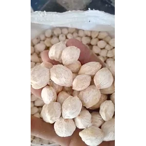 Kemiri Kupas Putih Alor Premium