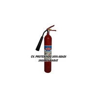 Fire Extinguishers Co2 Protect Gm 3 Kg