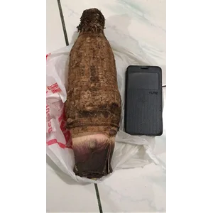 Makanan Kesehatan Talas Ungu
