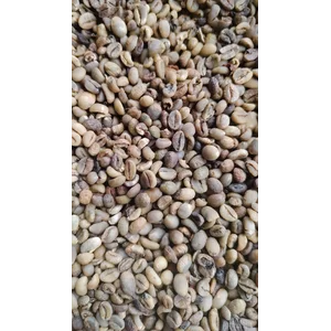 BIJI KOPI ROBUSTA ASALAN ( Gret 2 )