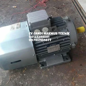 Dinamo-3phase induction motor Tatung