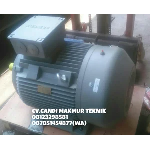 Dinamo-3phase induction motor Tatung