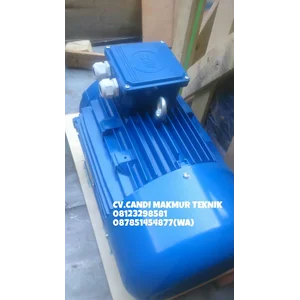 Dinamo-3phase induction motor Tatung