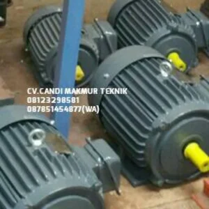 Dinamo-3phase induction motor Tatung