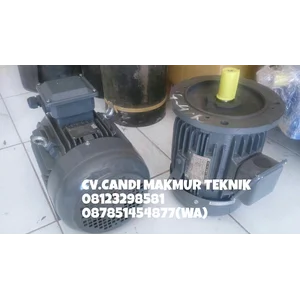 Dinamo-3phase induction motor Tatung