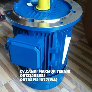 Dinamo-3phase induction motor Tatung