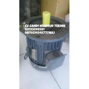 Dinamo-3phase induction motor Tatung