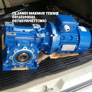 Worm Gear Motor - MOTOVARIO variabel speed reducer - MOTOVARIO NMRV( 050-063-075-090-110) - MOTOVARIO Helicar gear (type PRC / MRC / H series )