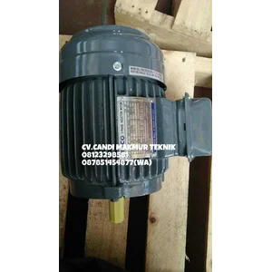 AC Motor Teco / Teco induction motor 3phase 