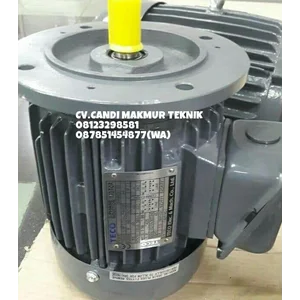 AC Motor Teco / Teco induction motor 3phase 