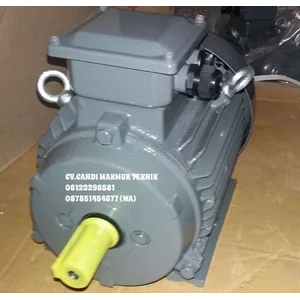 AC Motor Teco / Teco induction motor 3phase 