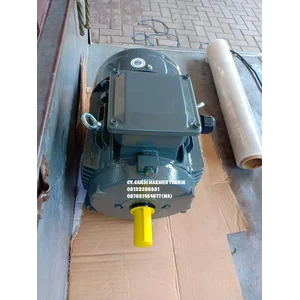 AC Motor Teco / Teco induction motor 3phase 