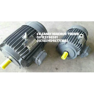 AC Motor Teco / Teco induction motor 3phase 