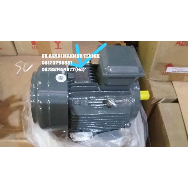 AC Motor Teco / Teco induction motor 3phase 