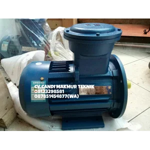 Flame proof motor  - Explosion motor - Ex proof motor 