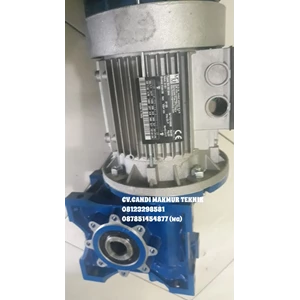 Three phase gear motor Motovario MGM brake motor 
