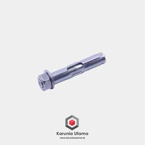 SUS 304 Dyna Bolt M10 x 60 (Dynabolt Stainless)
