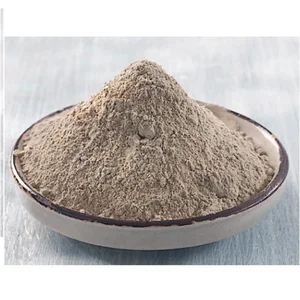 Penyimpanan Bahan Kimia - Bleaching Earth Bd 50
