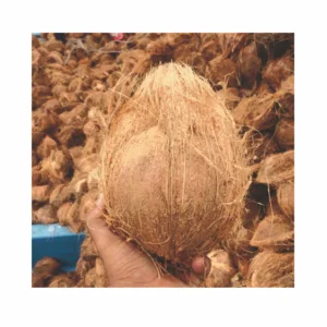 Kelapa Muda Kelapa tua coconut semihusk dari kebun seribu hektar
