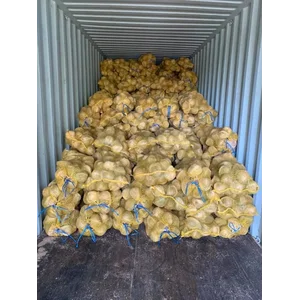 Kelapa Muda Kelapa tua coconut semihusk dari kebun seribu hektar