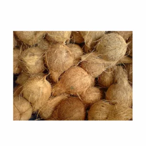 Kelapa Muda Kelapa tua coconut semihusk dari kebun seribu hektar