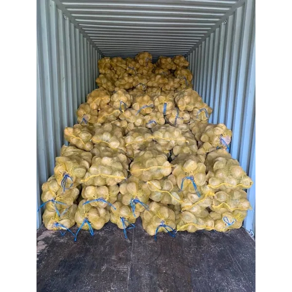 Kelapa Muda Kelapa tua coconut semihusk dari kebun seribu hektar