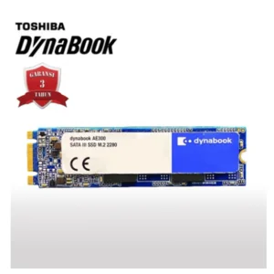 Harddisk SSD Dynabook AE300 SATA III M.2 2280 480GB