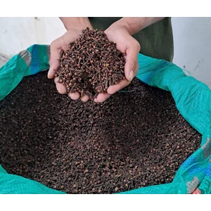 Cengkeh asli Indonesia AB6 Export Quality