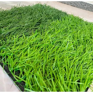 Paket Rumput Sintesis Lapangan Mini Soccer Lapangan Futsal