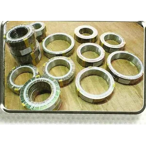 Spiral Wound Gasket With Inner Ring