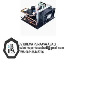 mesin pendingin 12v 24v Mini Refrigerator Condensing Cooling Unit With Miniature Refrigeration Compressor