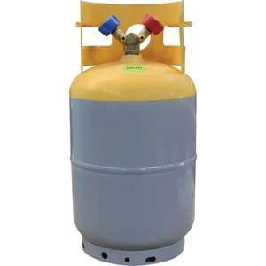 Mastercool 62010 - 30 lb. DOT-Approved Recovery Cylinder