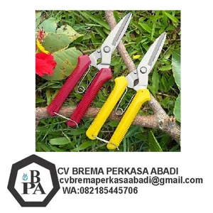 Gunting Daun Serbaguna Gunting Baja Seng Gunting Dahan