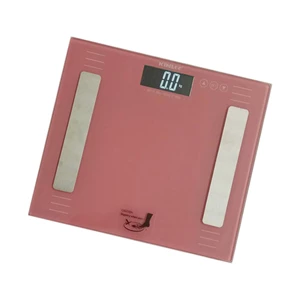 Digital Weight Scale - Bf 13