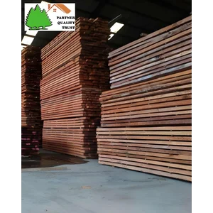 KAYU KRUING