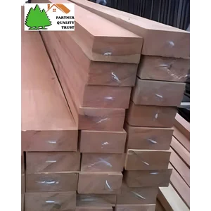 KAYU KRUING