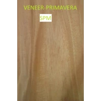 Veneer Kayu Primavera
