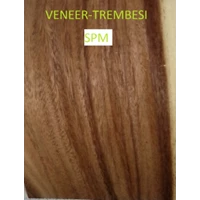 Veneer Kayu Trembesi