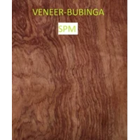 Veneer Kayu Bubinga