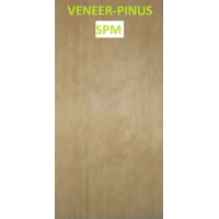 Veneer Kayu Pinus