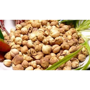Cardamom Kapulaga Putih Jawa Kering Utuh / Putih Indonesia