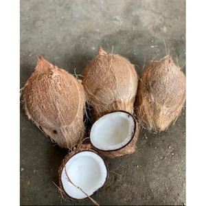 Kelapa / Kelapa Tua ( Kelapa )