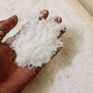 Kelapa Parut Tepung - Desiccated Coconut (Low-Medium-High Fat) 
