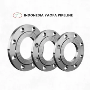Stainless Steel Flange Slip On SS316 JIS 10K Uk 1 - 4 Inch